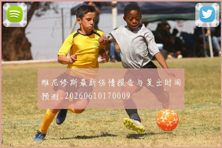 维尼修斯最新伤情报告与复出时间预测_20260610170009