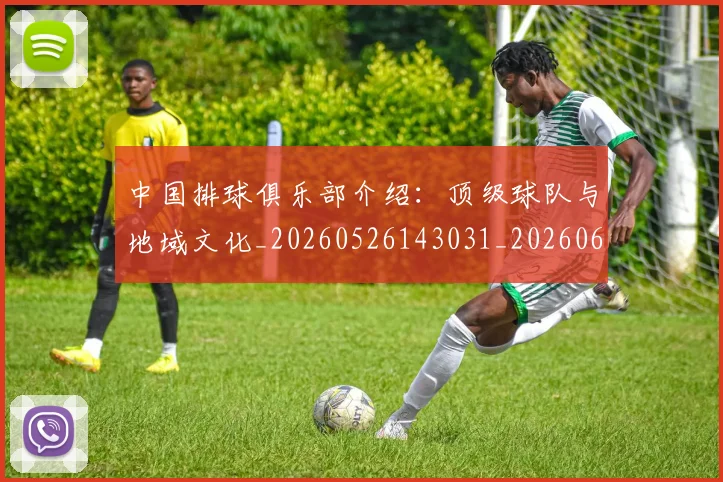 中国排球俱乐部介绍：顶级球队与地域文化_20260526143031_20260607160544